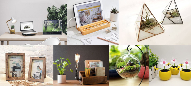 Cây mini và đồ trang trí bàn làm việc là nhóm hàng nhỏ gọn, dễ bán theo combo quà tặng. 