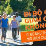 Đi bộ hỗ trợ giảm cân khi kết hợp đều đặn với chế độ ăn uống và sinh hoạt hợp lý. 