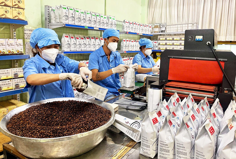Sơ chế và đóng gói nông sản giúp tăng giá trị sản phẩm địa phương và mở rộng kênh bán hàng. 