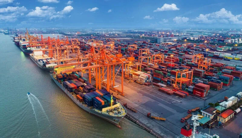 Chuỗi cung ứng toàn cầu có thể bị ảnh hưởng bởi tắc nghẽn cảng biển, biến động chi phí vận tải, tỷ giá, thiên tai hoặc dịch bệnh.