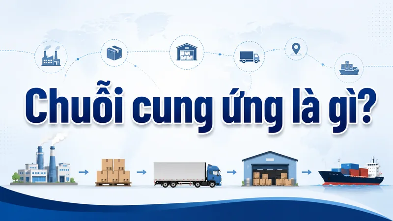 Một chuỗi cung ứng hoàn chỉnh cần sự phối hợp giữa nguyên liệu, sản xuất, lưu kho, vận chuyển và phân phối.